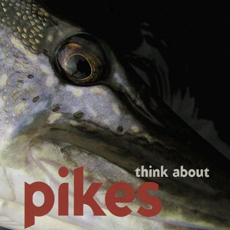 PIKES think about